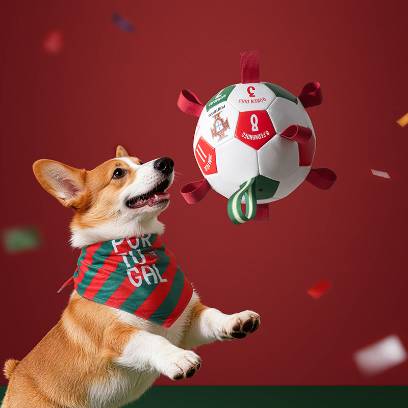 Portugal FPF Pet Soccer Ball Tug Toy